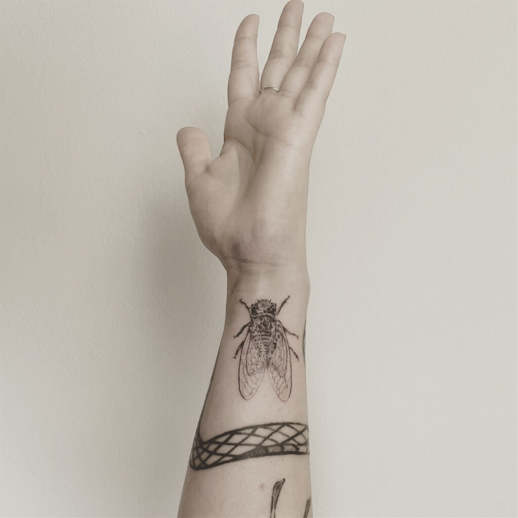 insekt insect  tattoo finelines zürich dotwork
