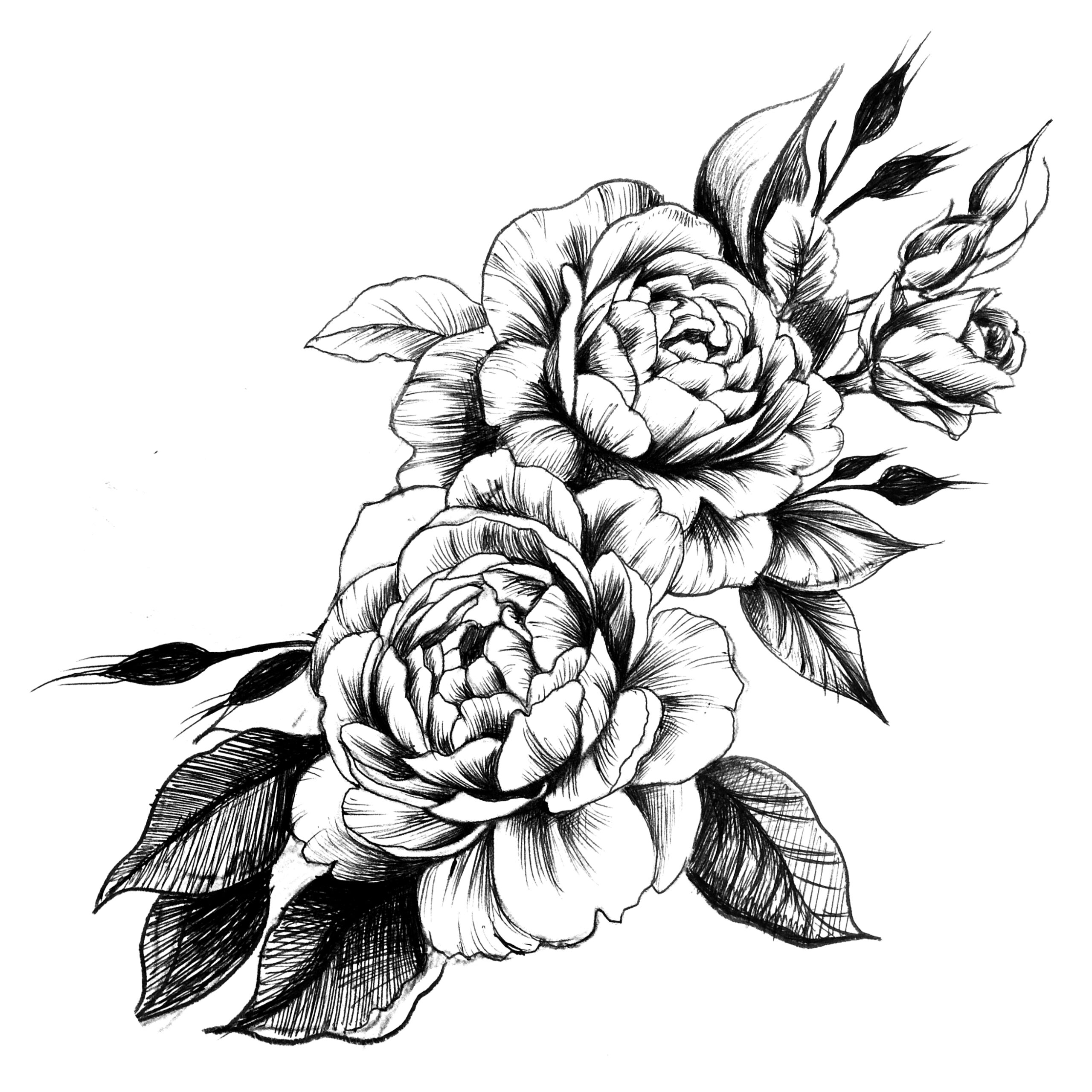 finelines  tattoo expert Zürich Altstetten minimalistic linework freehand flower