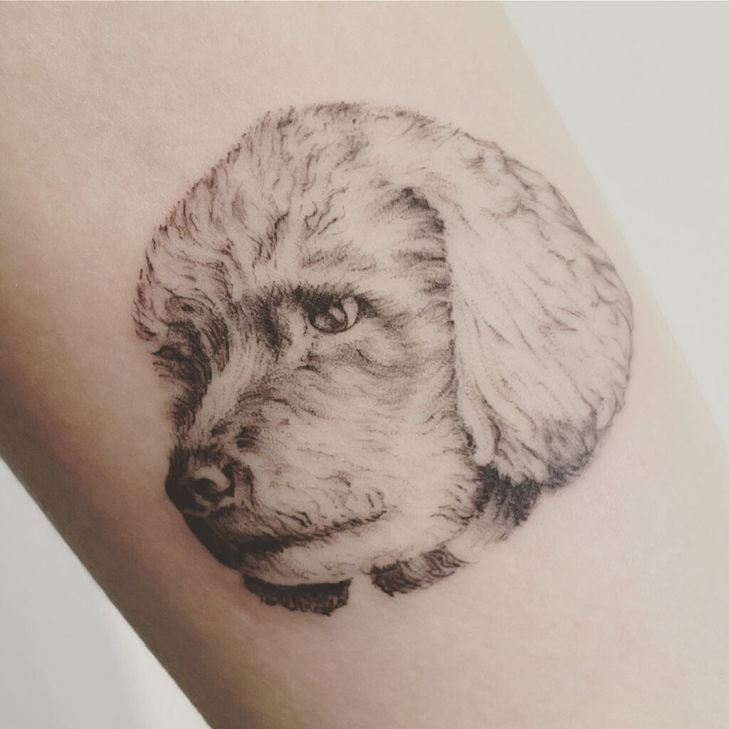poodle portrait tattoo microrealism zürich