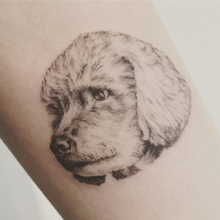 Microrealism tattoo hund porträt