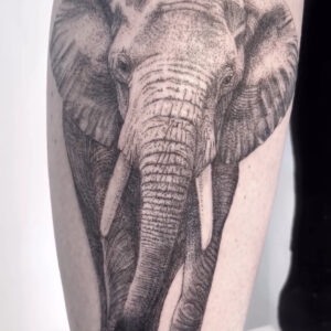 Elefant tattoo microrealim fineline dotwork zürich