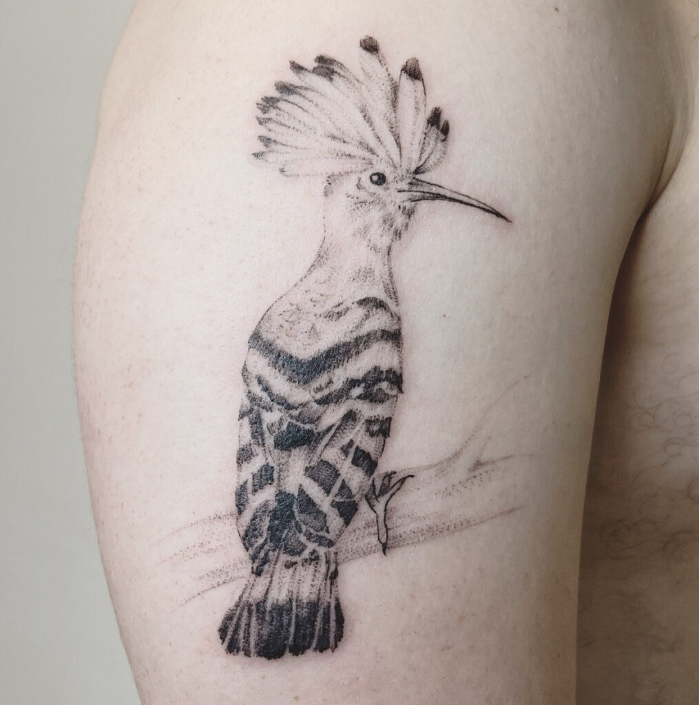 bird portrait tattoo on the arm, bird in microrealistic style, mirorealism, fineline tattoo of a bird, detaillerer Vogel tattoo 