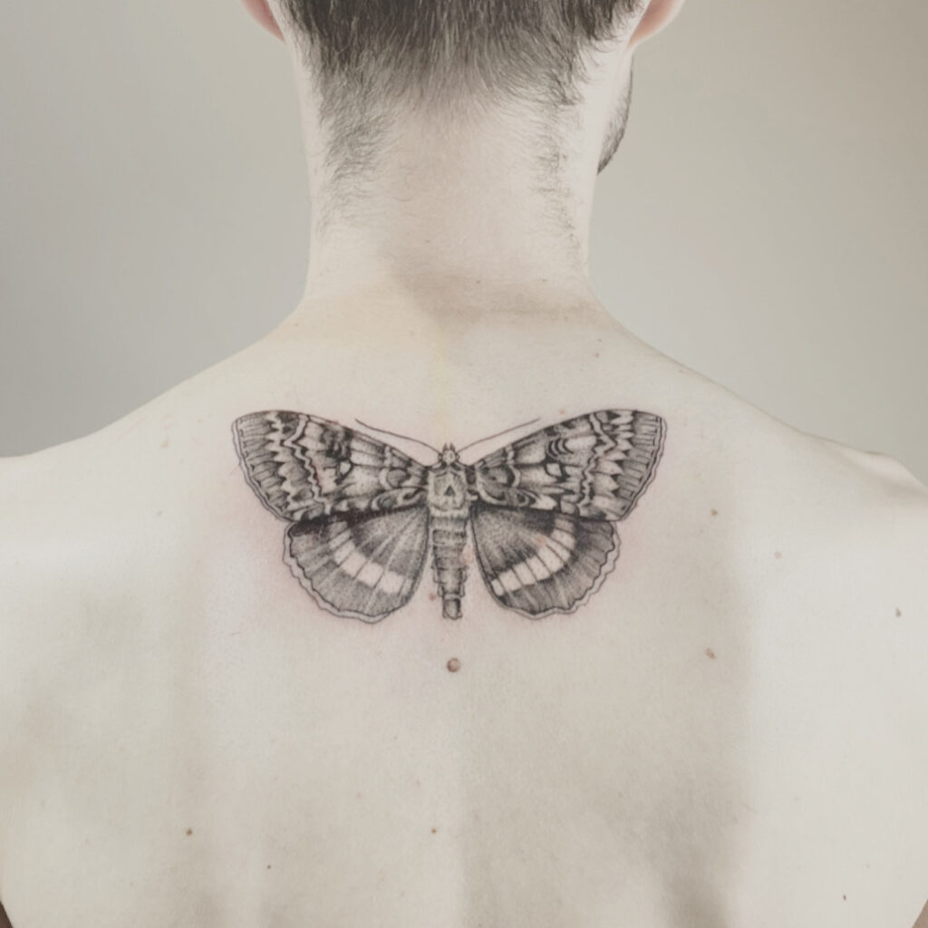 Nachtfalten Schmetterling Motte Tattoo Microrealistisches stil auf den Nacken von einer Mann, Finelines stil Tattoo zürich.