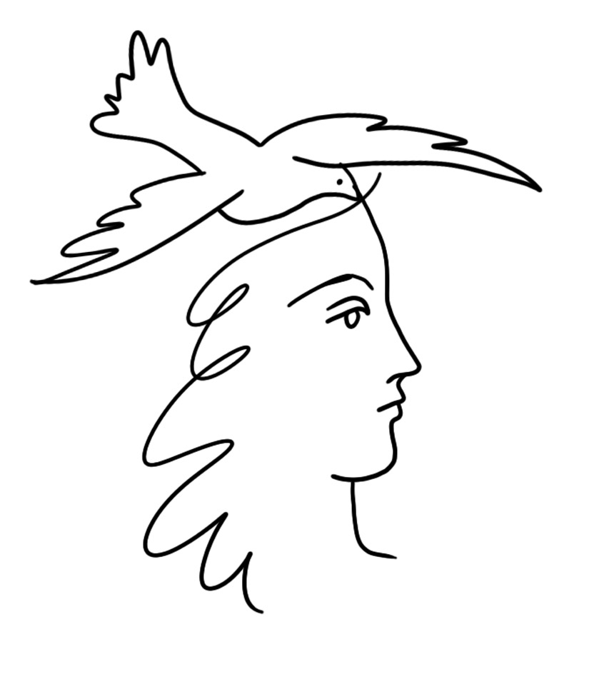 inspired by picasso drawing of a woman and dove
