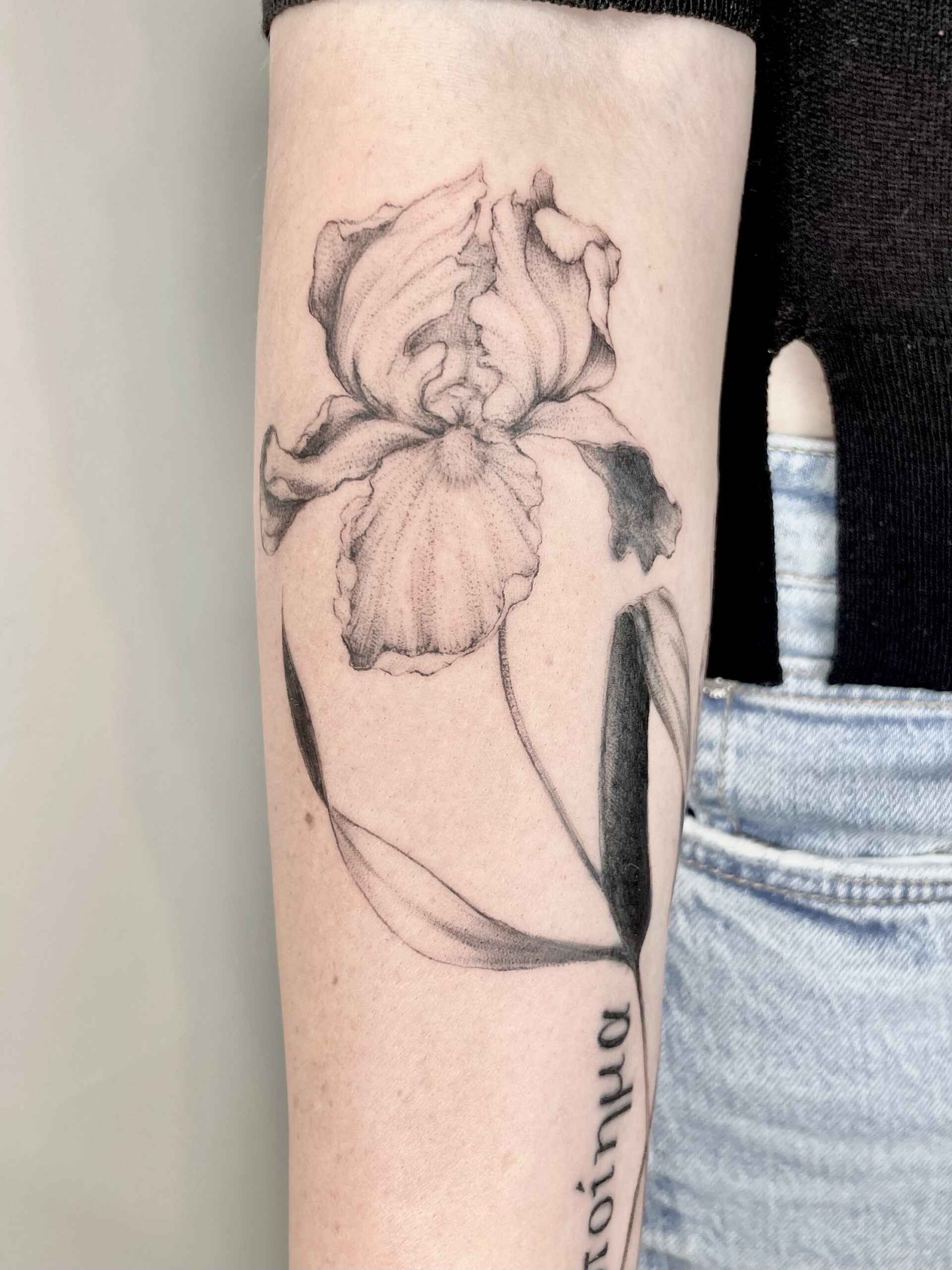 Detailliertes Fineline-Tattoo einer Irisblüte auf dem Oberarm einer Frau, mit sanften Schwarz-Grau-Schattierungen. Die Blume wurde über ein älteres Motiv gestochen (Cover-up) und zeigt eine elegante, feminine Linienführung. Tätowiert in einem Zürcher Studio. fineline tattoos in zürich