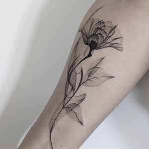 X-ray schattierte Blüte, Blume, in whip-shading Technique, floral tattoo in fineline stil, elegant und filigrane Linien und Shattierungen