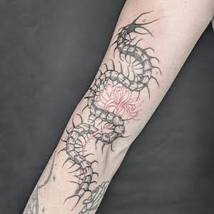 Tattoo von Anime Tokyo Ghoul. Fineline Tattoo auf der Unterarm, halfsleeve , einer schwarzer Tausendfüssler und einer rote Blume, Dekorativ wenig shattiert. Scolopendra tattoo.
