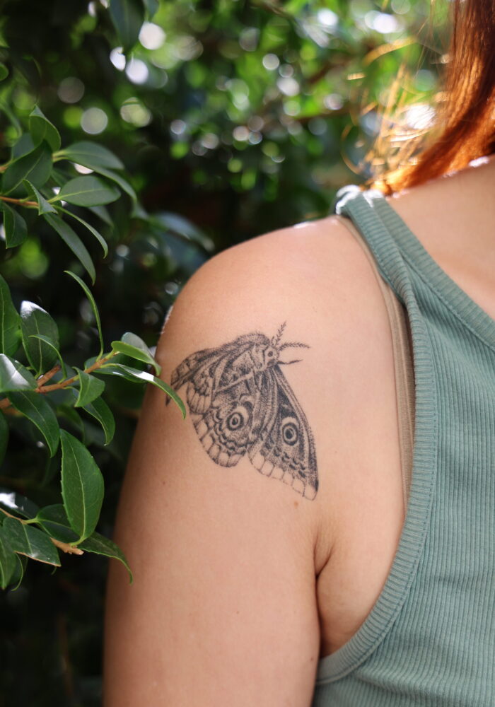 schmetterling nachtsfalter fineline tattoo zürich